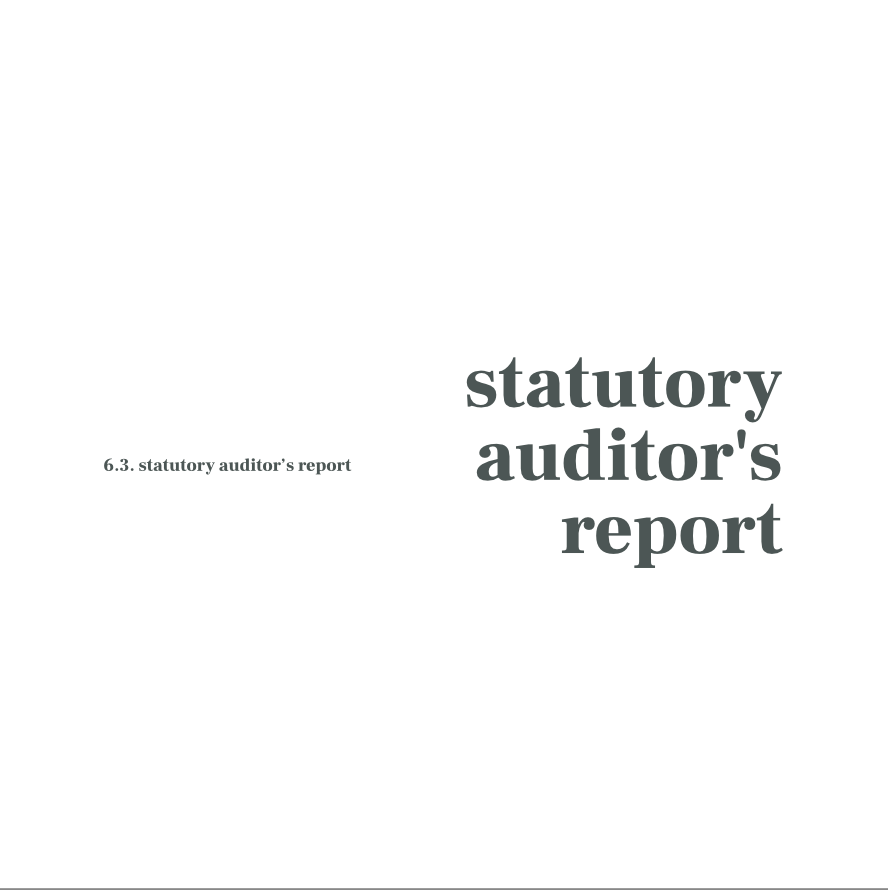auditor's report